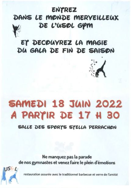 Gala Gymnastique Arstique le 18 juin 2022