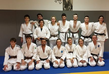 Cours adultes Judo suspendus