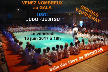 GALA JUDO JUJITSU 16 JUIN 2017