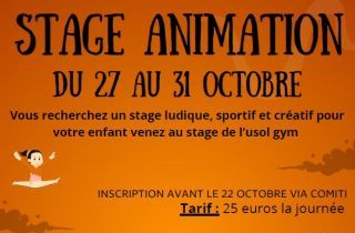 Stage Animation Toussaint 2025