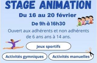 Stage animation février 2025