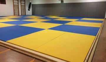 Reprise des activités Judo pour les mineurs pour la semaine du 11 janvier au 15 janvier 2021