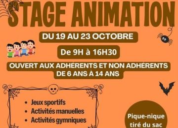 Stage d'Automne