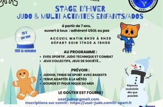 Stage d'hiver Judo et Multi activités enfants/ados