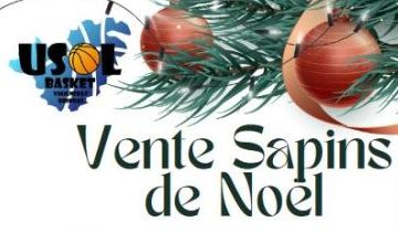 Opération Sapin de Noel /Basket