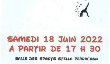 Gala Gymnastique Arstique le 18 juin 2022