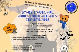 Stage Judo et multi-activités