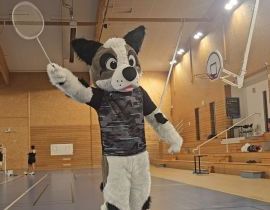 NOUVEAUTE !!! LE CRENEAU MINI BAD ARRIVE SUR BRINDAS ! 🏸