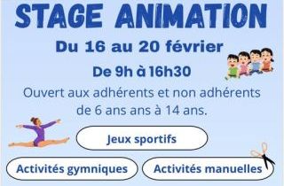 Stage animation février 2025